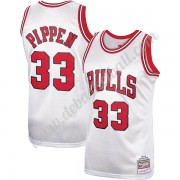 Chicago Bulls Basketball Trikots NBA Scottie Pippen 33# Platinum Hardwood Classics Swingman..